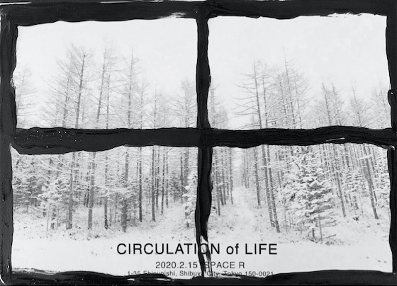 Circulation of life