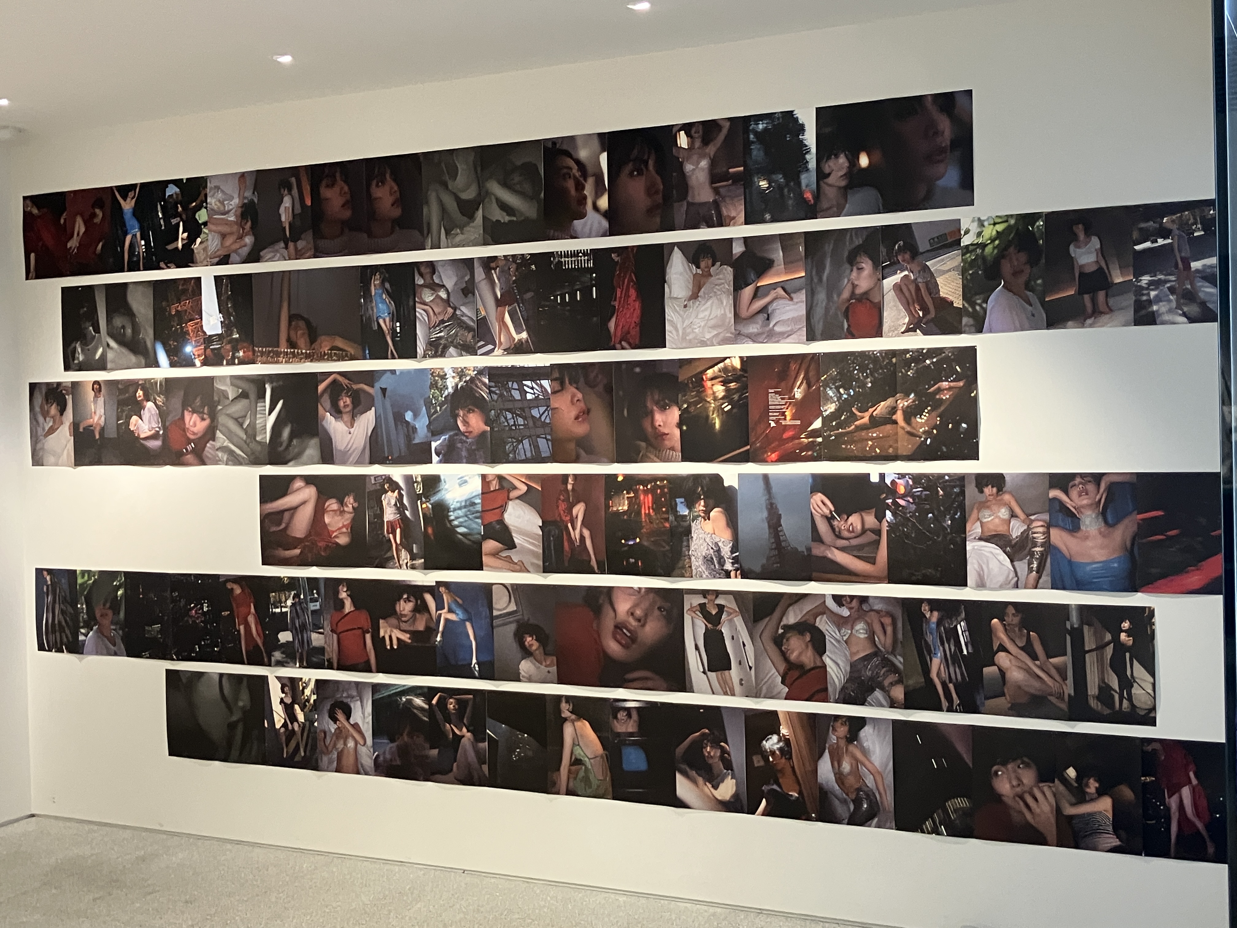 NANAx沢渡朔 exhibition