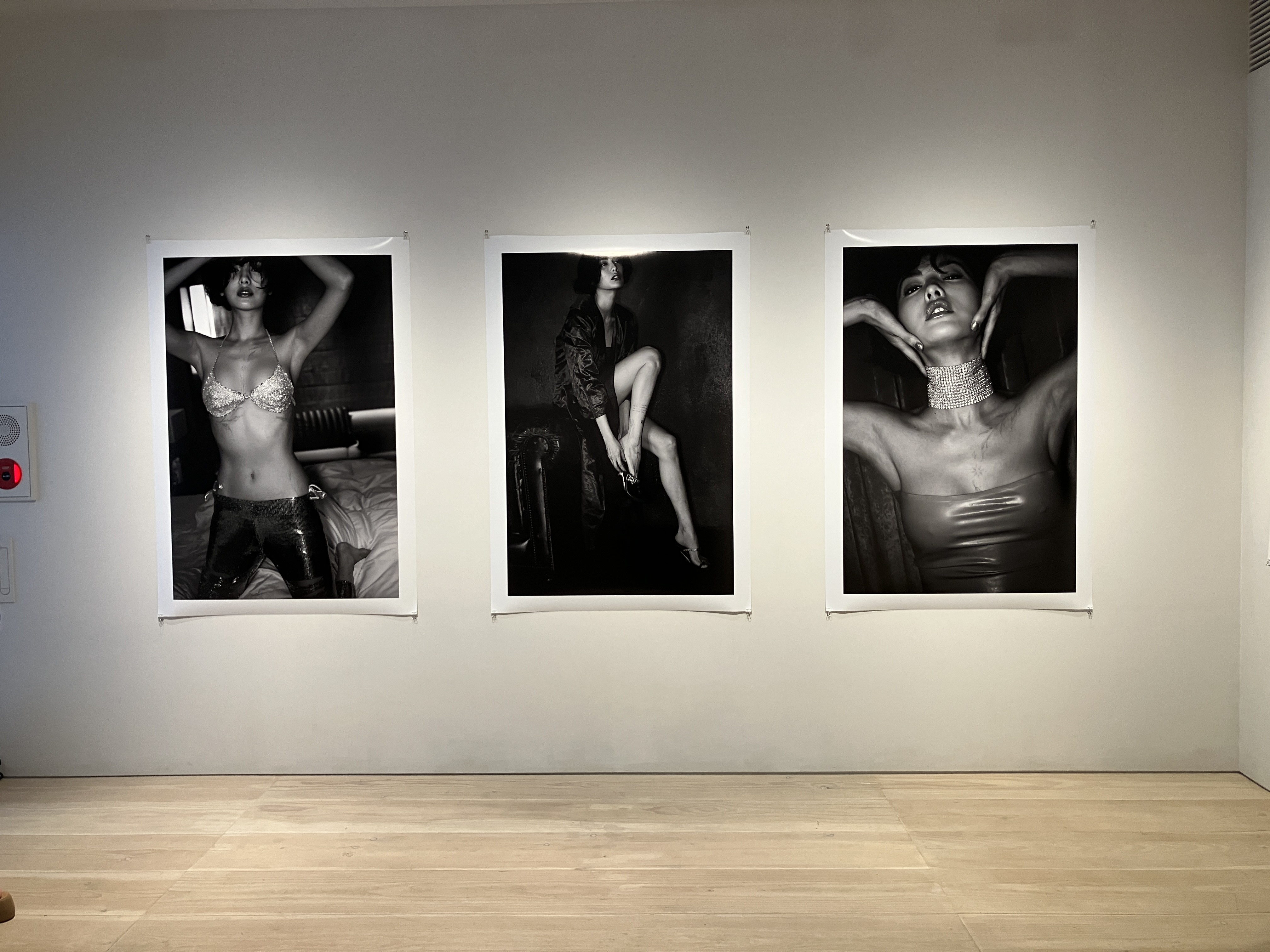 NANAx沢渡朔 exhibition